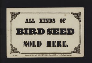 Annonce : Toutes sortes de graines pour oiseaux vendues ici (type) - English School
