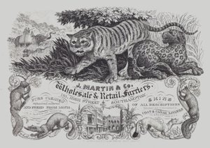 Publicité pour J Martin & Co, grossistes et détaillants en fourrures, Southampton, Hampshire - English School