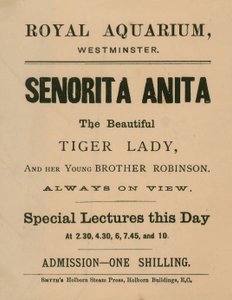 Publicité pour Senorita Anita - English School