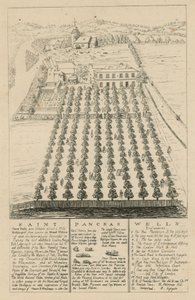 Vue aérienne de St Pancras Wells - English School
