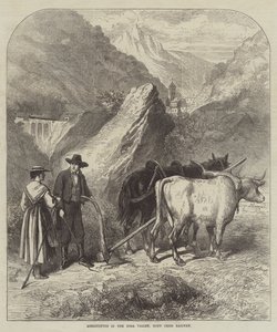 Agriculture dans la vallée de la Dora, chemin de fer du Mont-Cenis (gravure) - English School