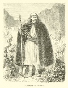 Berger albanais - English School