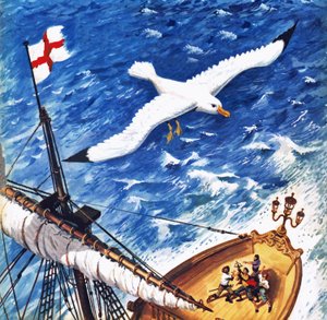 Albatros - English School