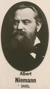 Albert Niemann - English School