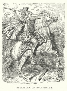Alexandre sur Bucéphale (gravure) - English School
