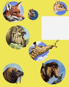 Toutes sortes de museaux et de groins - English School