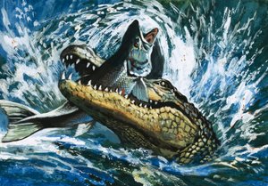 Alligator mangeant un poisson - English School