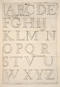 Feuille de spécimen d