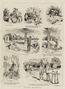 Apiculture amateur - English School