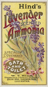 Ammoniaque, Parfum Lavande - English School