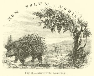 Académie Amorevole