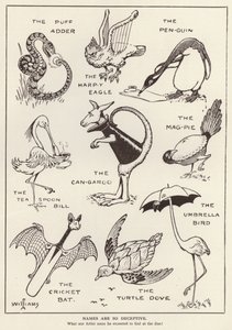 Animaux amusants - English School