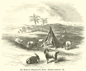 Tente de berger oriental, Isaïe, xxxviii, 12 - English School