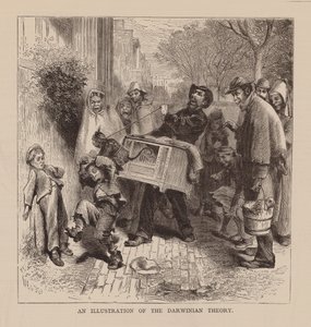 Illustration de la théorie darwinienne (gravure)