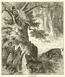 Une situation délicate (gravure) - English School