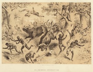Une interruption maladroite