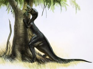 Anatosaurus - English School
