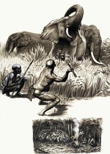 Peuples anciens du monde : petits trappeurs de la jungle