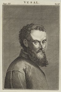 Andreas Vesalius - English School