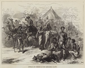 Animaux et Nubiens au palais Alexandra - English School