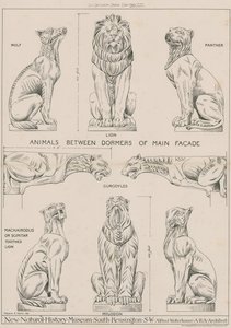 Animaux entre les lucarnes de la façade principale du nouveau musée d