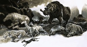 Animaux de l