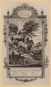 Animaux du Cap de Bonne-Espérance