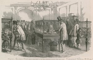 Exposition annuelle de pigeons de la Société Philio-Peristeron - English School