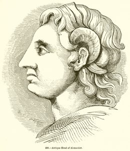 Tête antique d