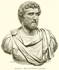 Antonin (Buste au Musée de Naples) - English School