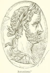 Antonin - English School