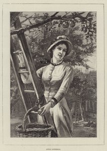 Cueillette de pommes - English School