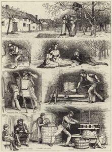 Récolte de pommes et fabrication de cidre dans le Devonshire - English School