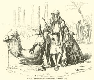 Conducteur de chameaux arabe, Genèse, xxxvii, 25 - English School