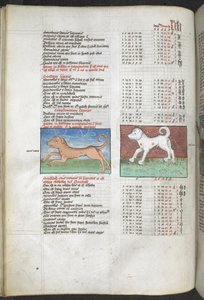Canis major et Canis minor représentés comme des chiens, 