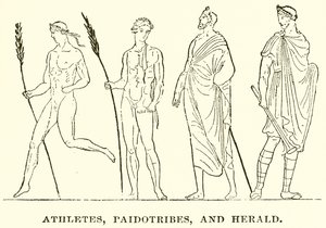 Athlètes, Paidotribes et Héraut - English School