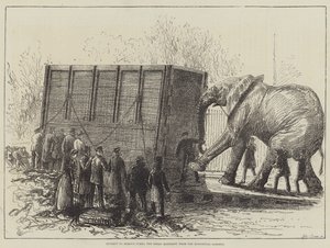 Tentative de déplacer Jumbo, le grand éléphant, du zoo (lithographie) - English School