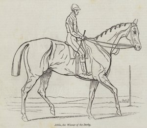 Attila, le gagnant du Derby (gravure)