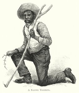 Australie : un pisteur indigène (gravure) - English School