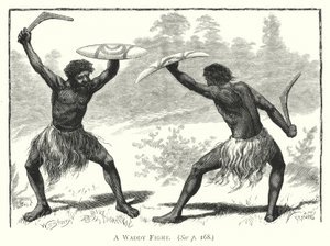 Australie : Un combat de waddy - English School