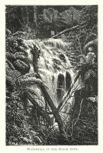 Australie : cascade dans le Black Spur (gravure) - English School