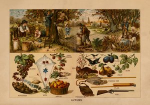 Automne - English School