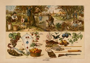 Automne - English School