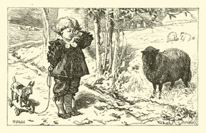 Baa, Baa, mouton noir - English School