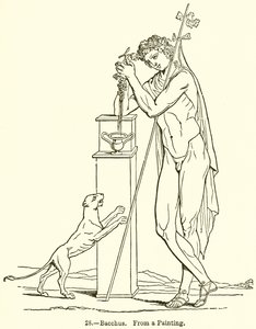Bacchus - English School