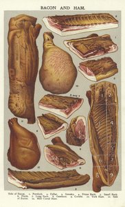 Bacon et jambon - English School