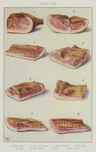 Tranches de bacon - English School
