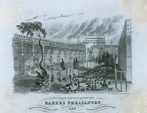 Bakers Pheasantry, Chelsea - English School