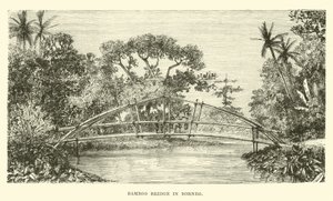 Pont en bambou à Bornéo - English School