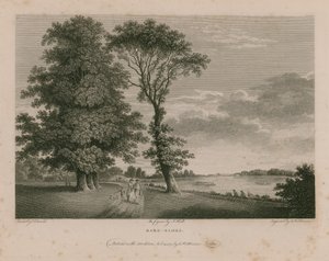 Barn Elmes - English School